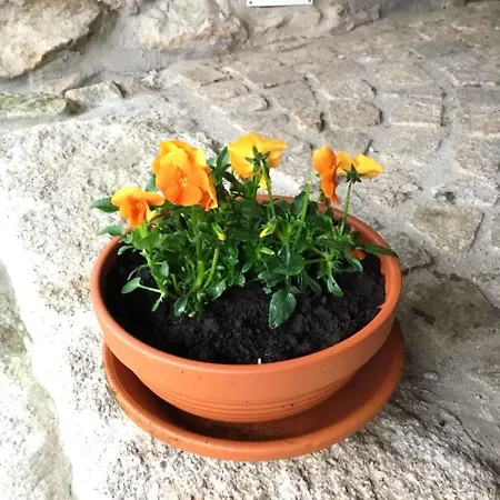 Cozy With Mountain View - 20 M² - Agueda Appartement *