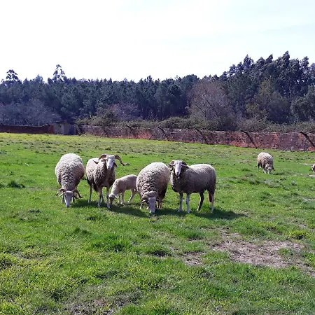 Appartement Cozy With Mountain View - 20 M² - Agueda *