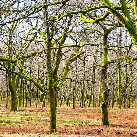 Cozy With Mountain View - 20 M² - Agueda * Urgueira (Aveiro)