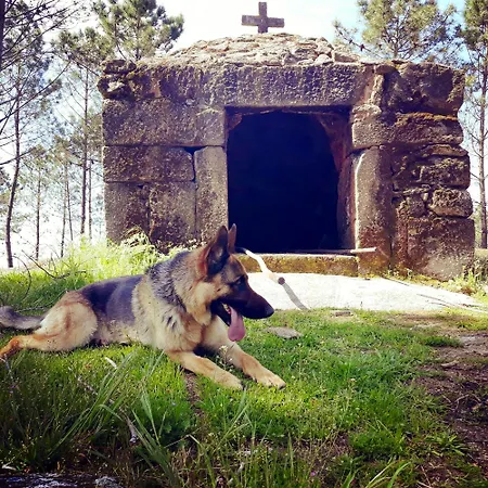 Cozy With Mountain View - 20 M² - Agueda Urgueira (Aveiro)