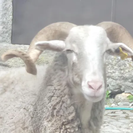 Appartement Cozy With Mountain View - 20 M² - Agueda *