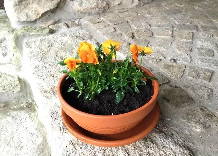 Cozy With Mountain View - 20 M² - Agueda Апартаменты *