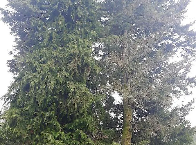 Апартаменты Cozy With Mountain View - 20 M² - Agueda Urgueira (Aveiro)