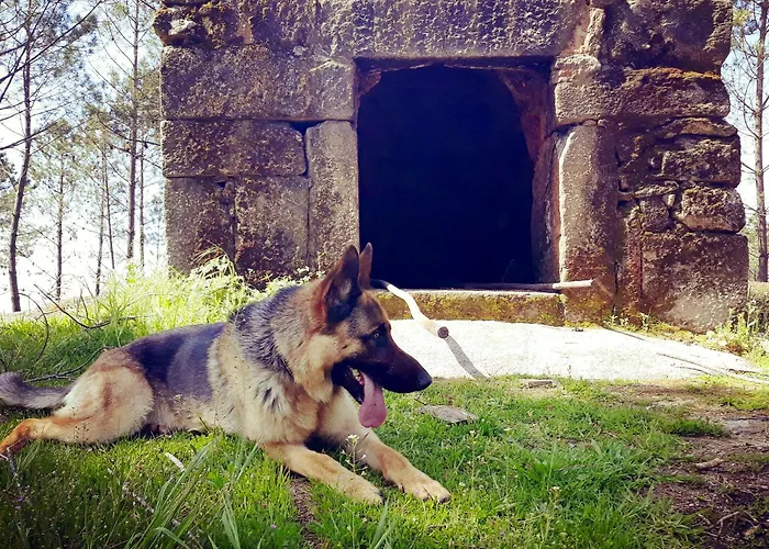 Cozy With Mountain View - 20 M² - Agueda Urgueira (Aveiro)