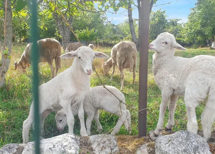 Cozy With Mountain View - 20 M² - Agueda *