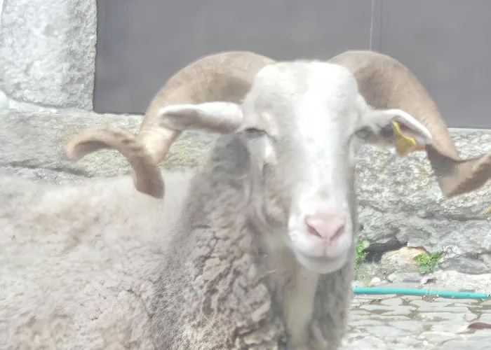 Апартаменты Cozy With Mountain View - 20 M² - Agueda *